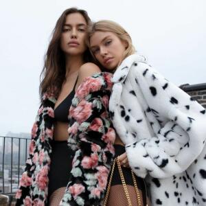 Irina Shayk other